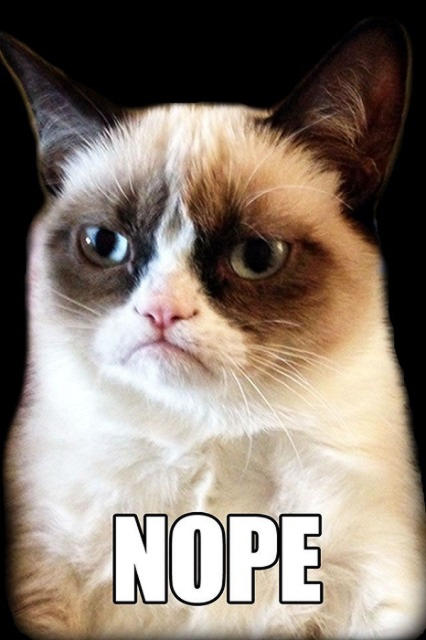 picture of a cat saying nope
